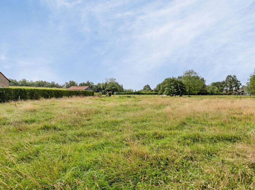 Terrain spacieux et bien orienté (1 297 m²) situé au calme le long de l&#039;Antwerpse Heirweg (quartier résidentiel à caractère rural/zone agricole) à Sij