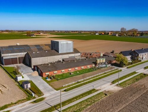                             Ferme à vendre à Watou
