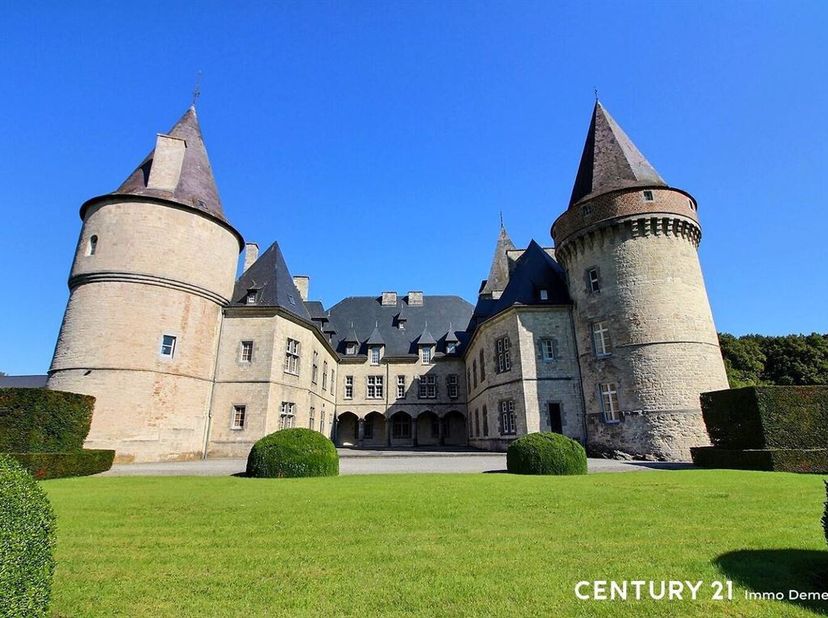 Het prestigieuze middeleeuwse Château de Fontaine ligt in het hart van een uitzonderlijke geklasseerde site en strekt zich uit over 11 hectare met for