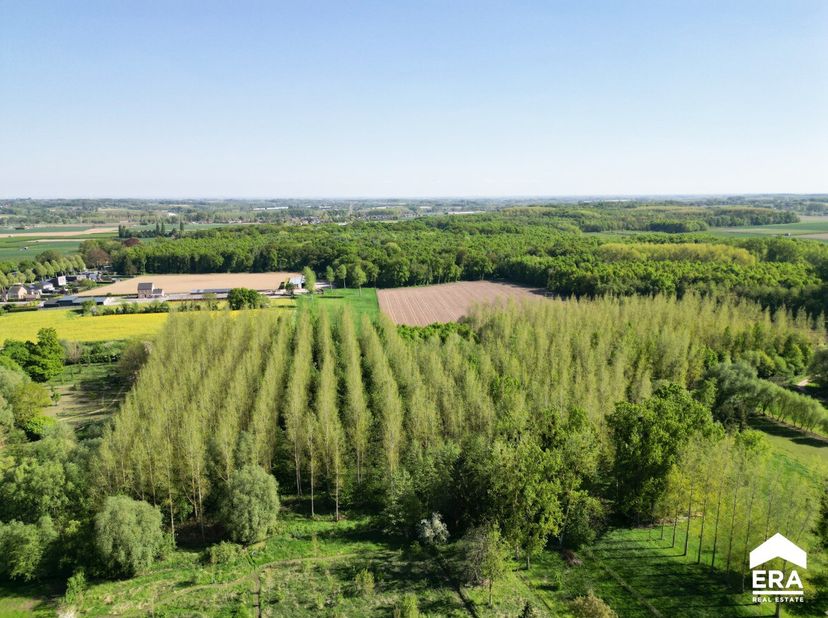 Gelijkvloers nieuwbouwappartement met 3 slaapkamers, ruim terras, 2 autostaanplaatsen en kelderberging op goede locatie nabij het centrum in Kortessem