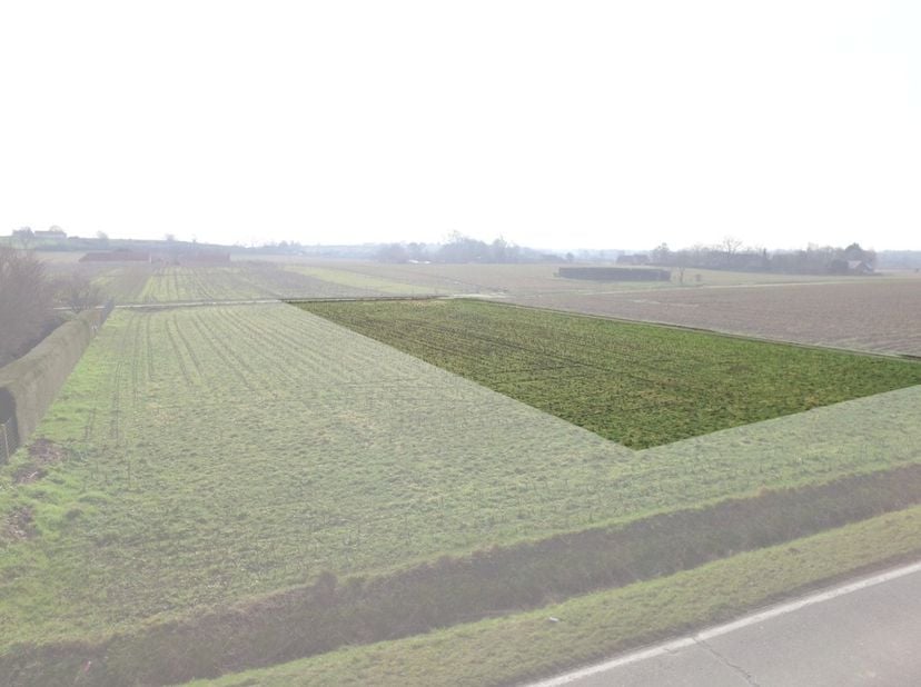 Dit perceel, gelegen aan de Weldenstraat in Oudenaarde, heeft een totale oppervlakte van 1344 m². Met een straatbreedte van 20,75 meter biedt deze rui