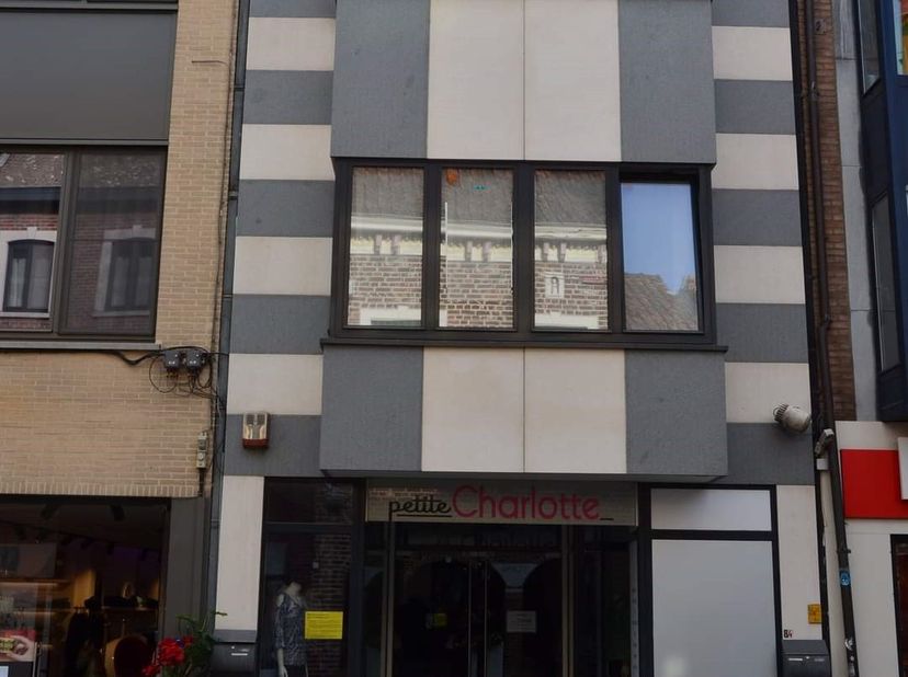Bien professionnel à vendre
                    à 3740 Bilzen