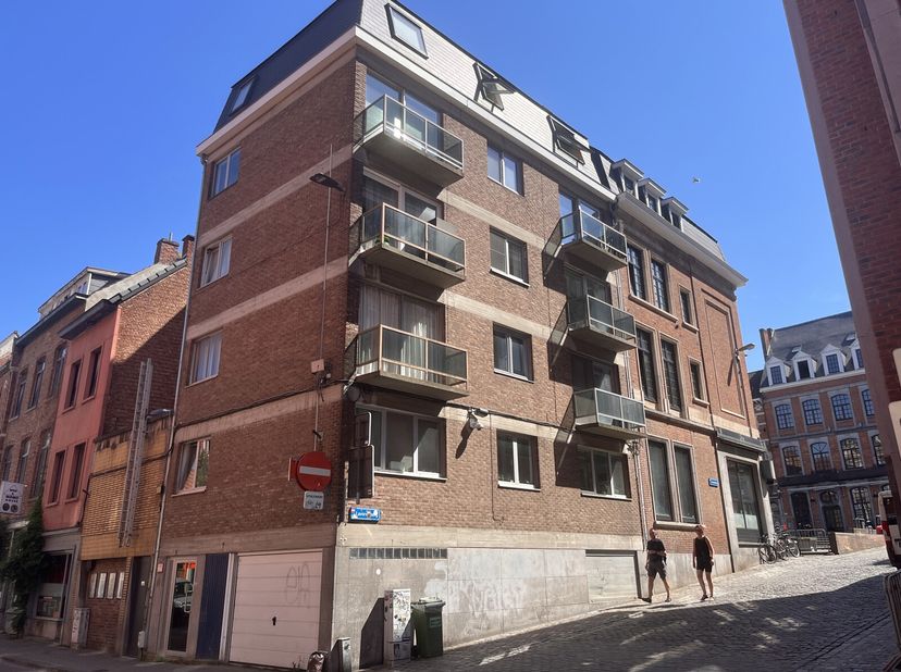 ENKEL VOOR STUDENTEN: Toffe lichtrijke studio, in de Parijsstraat, op de hoek met zijstraat van de Oude markt. De studio heeft een slaaphoek, bureau,