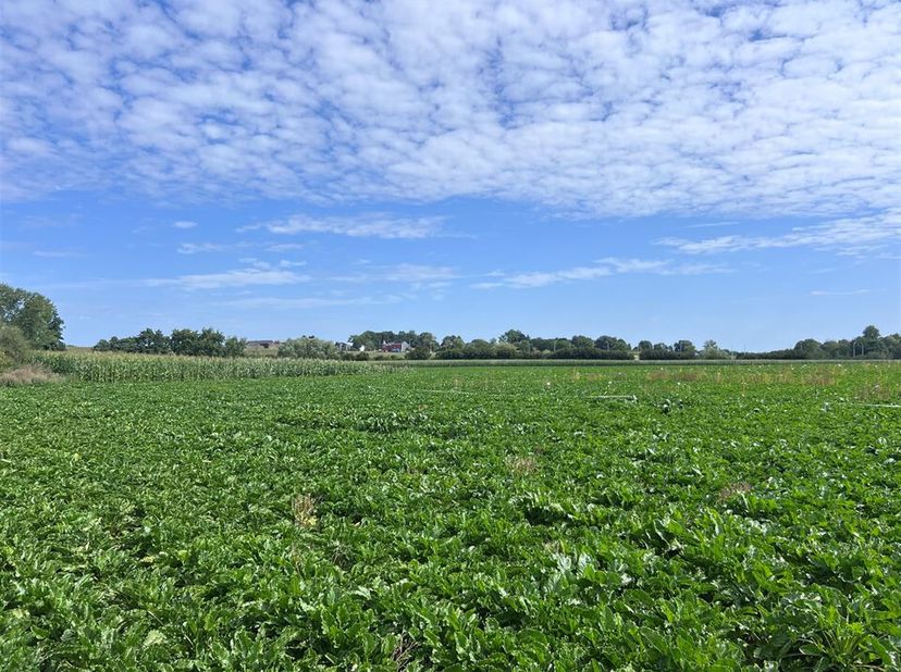 Faire offre à partir de 390.000€ (5ha 81a) -Bel ensemble de terres agricoles d&#039;une contenance totale de 5 ha 81 a 07 ca, comprenant environ 35 ares de
