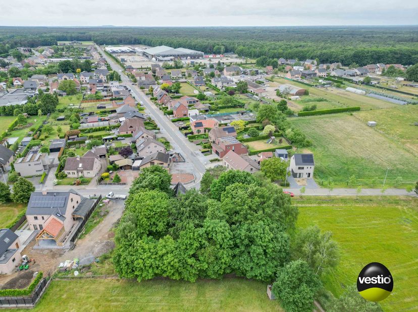 Maison à vendre
                    à 3660 Opglabbeek