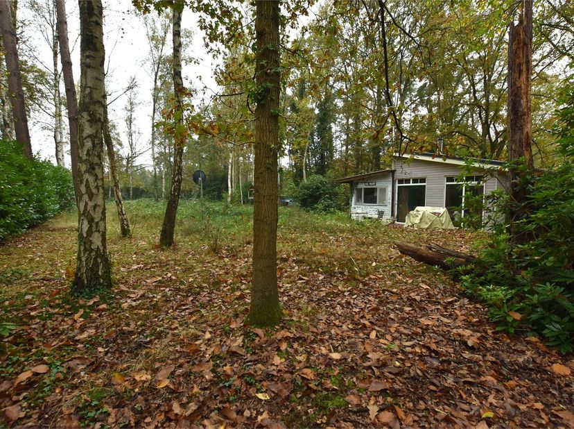 Maison à vendre
                    à 2230 Herselt