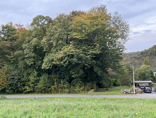                                         Bouwgrond te koop in Hastière-par-Delà, € 72.000
