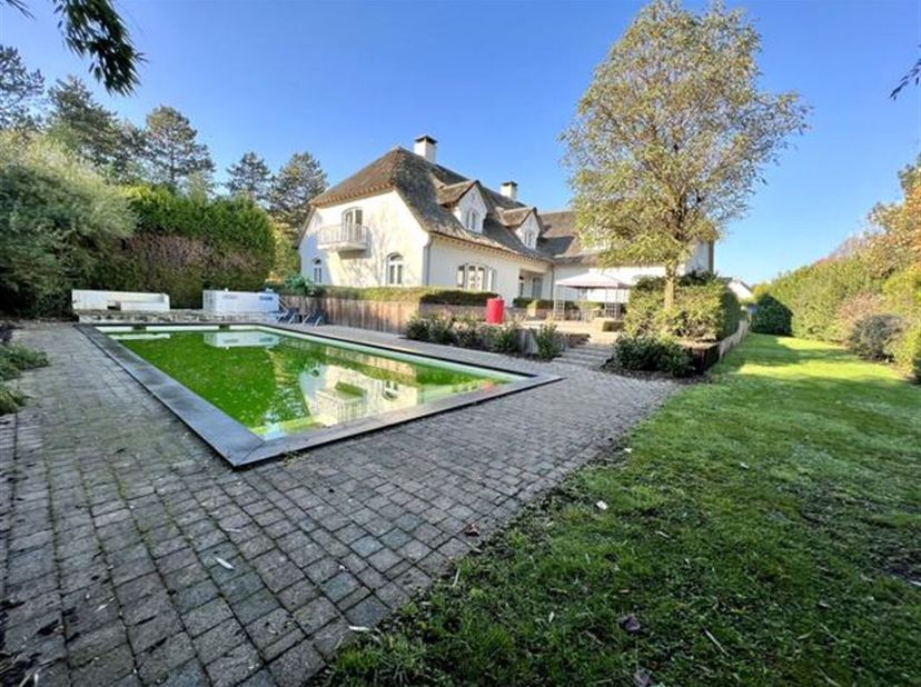 Uitzonderlijke villa gelegen in de mooiste villawijk in het schilderachtige Pelt. Deze woonst gelegen op een royaal perceel van 2.574 m², biedt een on