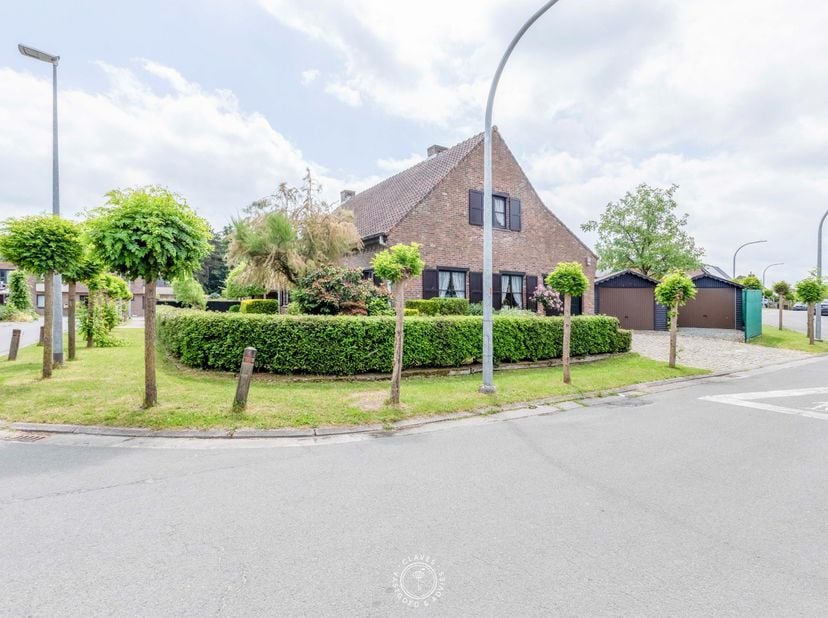 Maison à vendre
                    à 9140 Temse