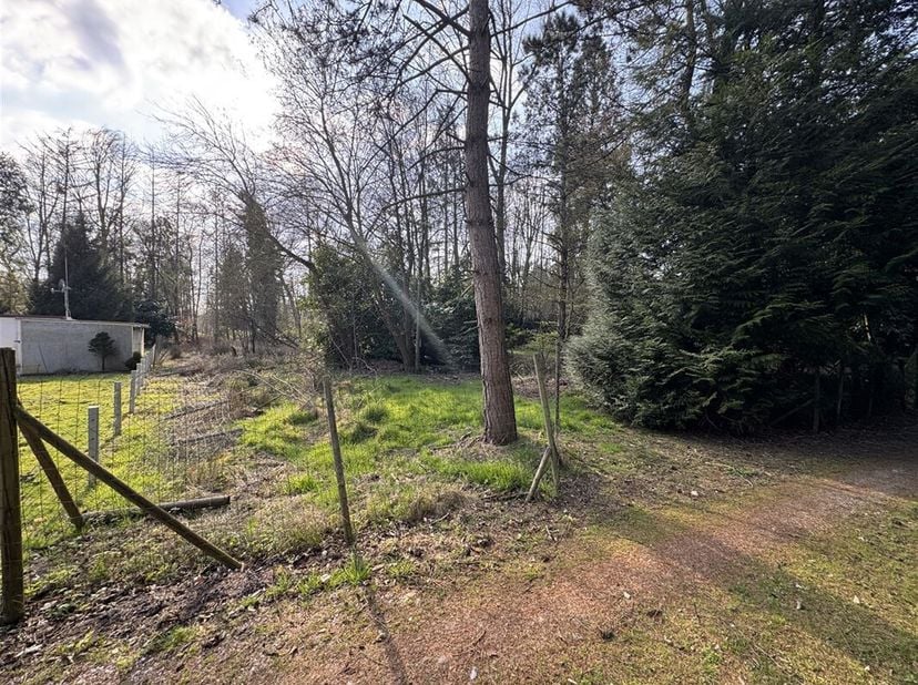 In het groene en serene Speelhof te Stekene bieden wij een hoekperceel bosgrond van 1.000 m² te koop aan. De locatie is ideaal voor wie een recreatief