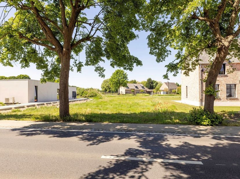 Terrain à vendre
                    à 2260 Westerlo