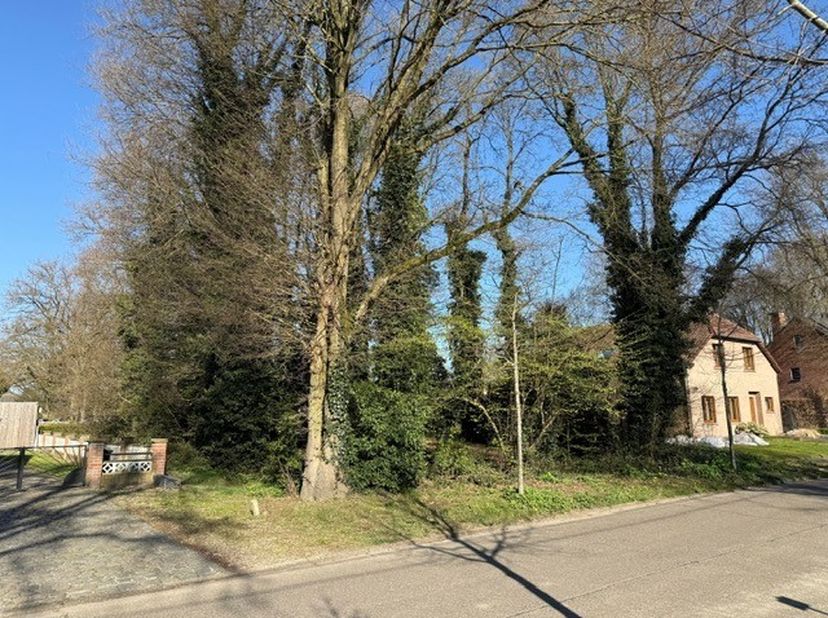 De bouwgrond is geschikt voor een open bebouwing.&lt;br /&gt;
Heeft een straatbreedte van 20m (en diepte van 35m).&lt;br /&gt;
Het is een mooi, rechthoekig percee