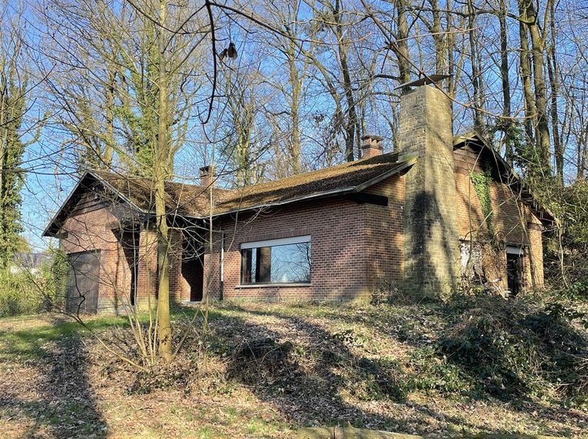 Ontdek je persoonlijke heiligdom in deze prachtige woning van 455 m². Verdeeld over drie verdiepingen biedt dit huis een scala aan mogelijkheden om je
