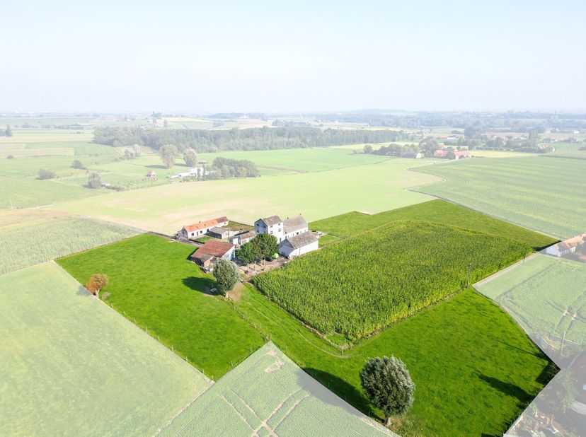 Maison à vendre
                    à 8554 Sint-Denijs