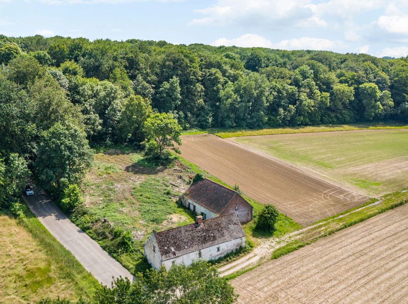 Wonen zonder buren ? Met zicht op eigen veld en bos?  Dat kan.  Wij bieden u deze authentieke, volledig te renoveren hoeve aan gelegen te Zandbergen n