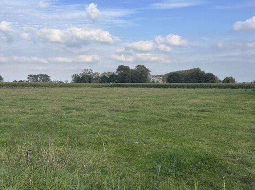 Aanpalende percelen bouwland, gelegen nabij &quot;Polderken&quot;, kad. &#039;Maldegem, 4e afd./Middelburg&#039;, sct. A, nrs 0847CP0000, 0848BP0000, 0849CP0000, 0850BP00