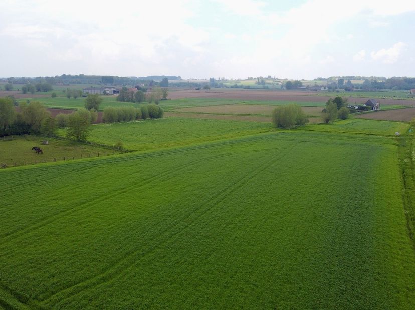Goed gelegen perceel landbouwgrond (2,6ha) in Moen (Zwevegem). Langs twee straten bereikbaar.&lt;br /&gt;
Voor meer informatie of een bezoek, kan u ons bell