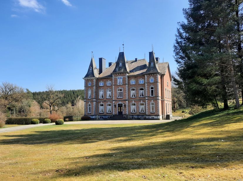 Prov. du Luxembourg - Dit kasteel en de bijgebouwen kijken uit over een mooie vallei en liggen op een terrein van 20 hectare. De woning is neoklassiek