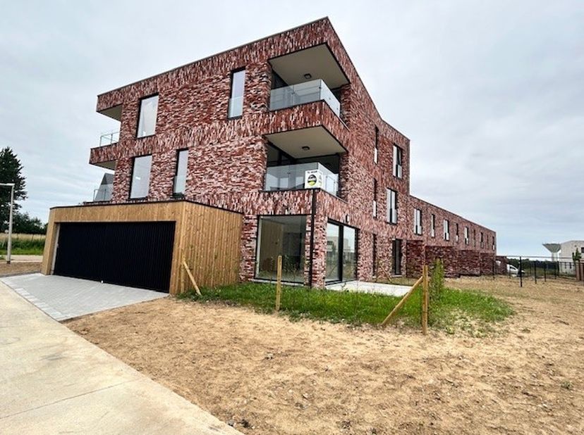 Appartement à louer
                    à 3740 Bilzen