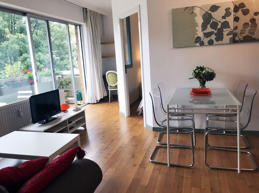 MONTGOMERY/PARC DU CINQUANTENAIRE: Dans un immeuble datant de 1975, élégant appartement meublé avec 1 chambre, 1 salle de bains avec espace buanderie