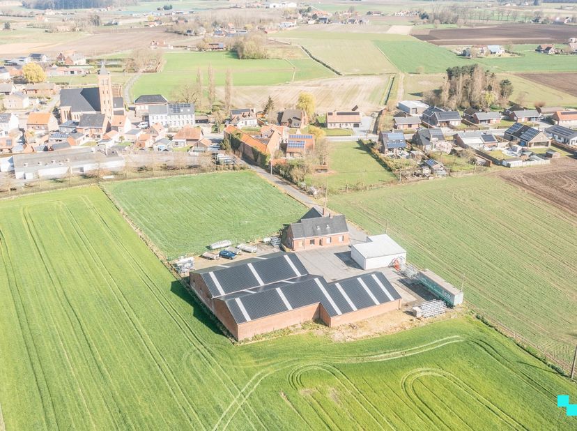 Deze veelzijdige eigendom, gelegen in een rustige, groene omgeving onder de kerktoren van Sint-Jan (Wingene), biedt tal van mogelijkheden. Het terrein