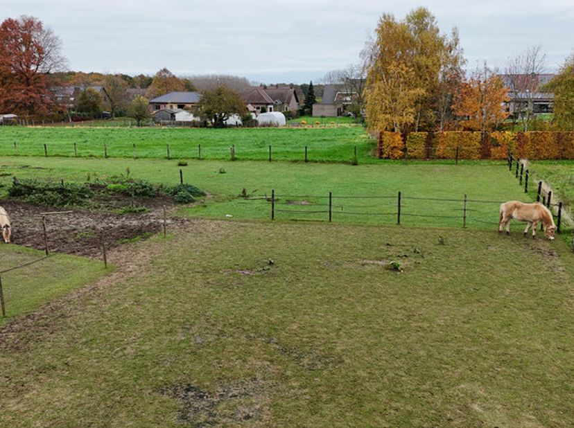 Terrain à vendre
                    à 3473 Waanrode