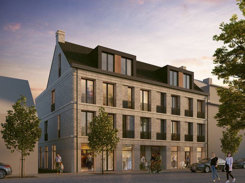 Bien professionnel à vendre
                    à 2160 Wommelgem