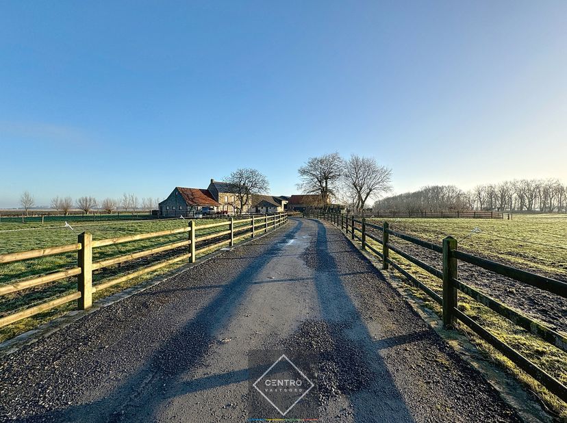 Een DROOM voor elke paardenliefhebber en voor mensen met liefde voor de natuur en 100% PRIVACY!! Aan de rand van het dorp, doch met 360 graden VRIJ UI