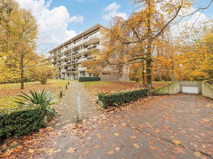 Dit appartement is gelegen in residentie Zilverhof te Kapellen. Alle voorzieningen, scholen en winkels zijn direct bereikbaar.&lt;br /&gt;
We betreden dit p