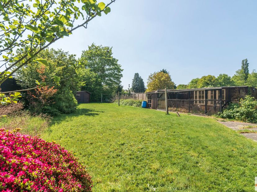 Maison à vendre
                    à 3580 Beringen