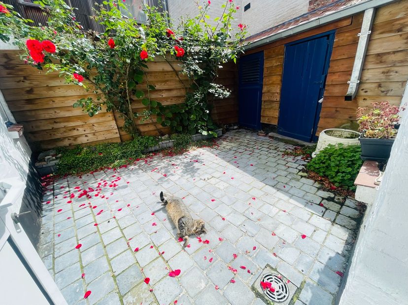 Maison à vendre
                    à 8000 Brugge