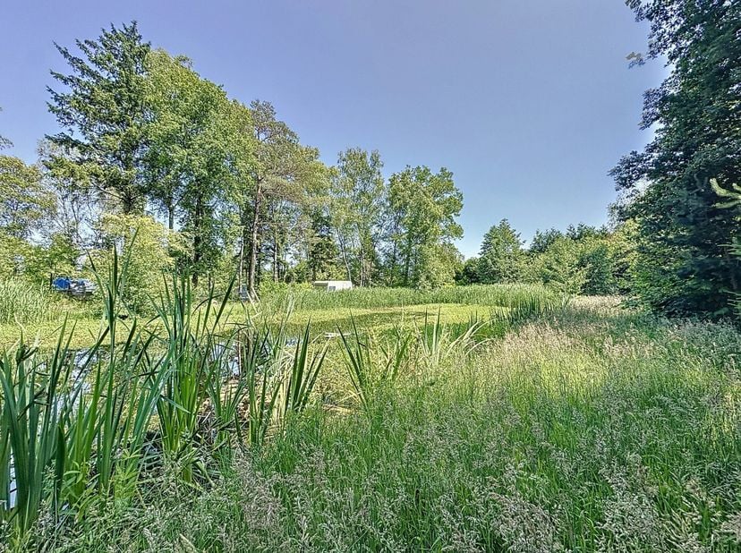 Bent u op zoek naar een rustige plek om te ontspannen in de natuur, met ruimte om een recreatiewoning te bouwen? Deze prachtige recreatiegrond van 215