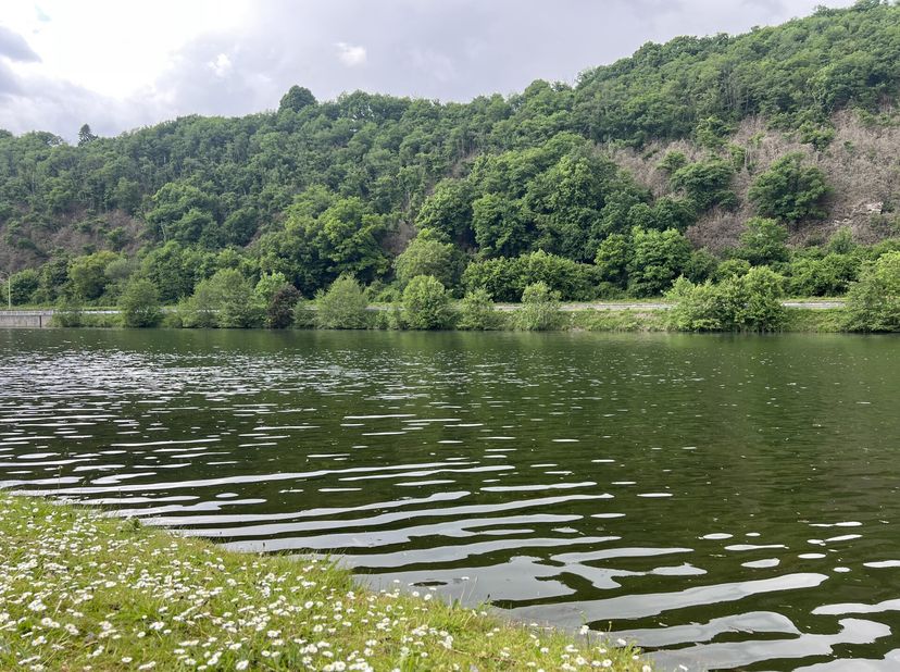 Opportunité unique ! Magnifique terrain à bâtir de 10a. 40ca. sis en bordure de Meuse .&lt;br /&gt;
Celui-ci profite d’une superbe vue sur Meuse ! Sis dans