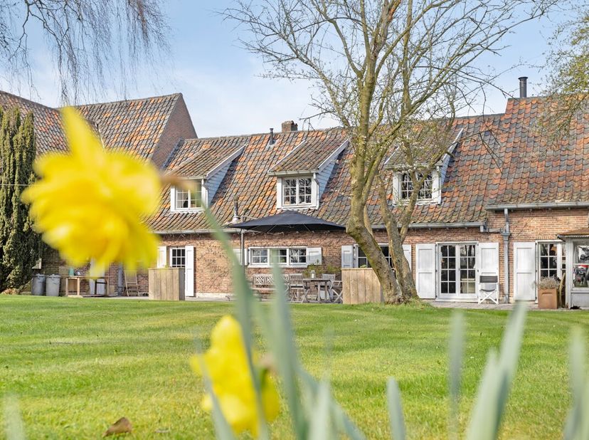 Maison à vendre
                    à 9990 Maldegem