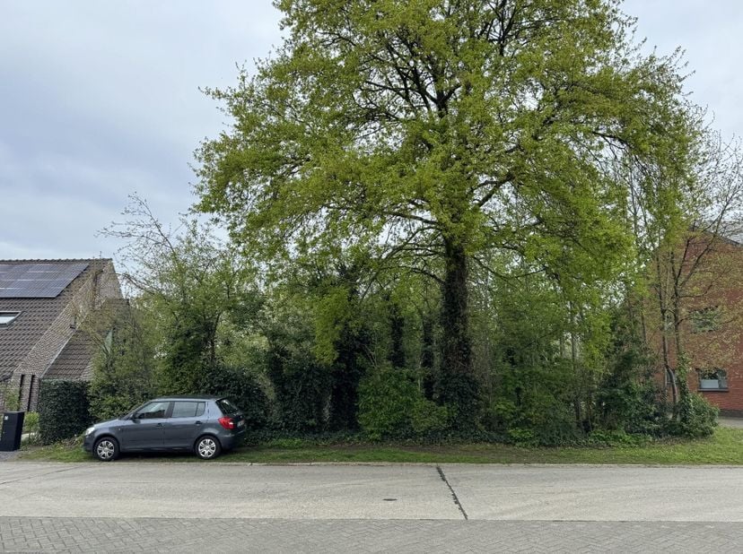 Groot perceel bouwgrond van 17a92ca, eventueel te verkavelen in 2 HOB.Dit perceel is rustig gelegen vlakbij het centrum van Oevel. Op enkele minuten v