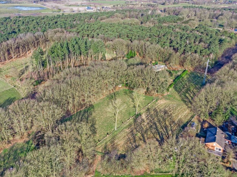 Te midden van bossen en weilanden ligt deze uitzonderlijk rustig gelegen woning, op de rand van Balen, Meerhout en Mol.  Hier geniet je van absolute p