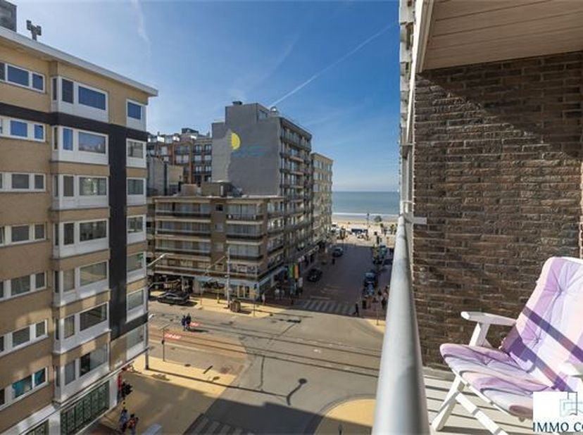 Bel appartement rénové comprenant : hall d&#039;entrée avec grande vestiaire/armoire, living avec cuisine ouverte, salle de bains avec douche et toilette,