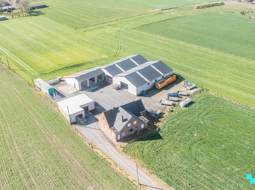 Deze veelzijdige eigendom, gelegen in een rustige, groene omgeving onder de kerktoren van Sint-Jan (Wingene), biedt tal van mogelijkheden. Het terrein