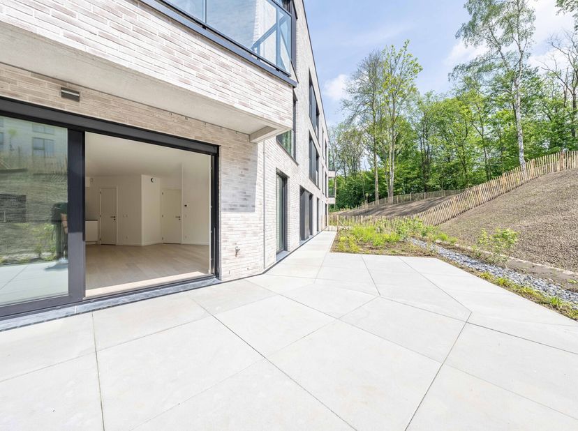 Victoire biedt een zeer mooie benedenverdieping met terras en grote tuin die is georiënteerd op het zuid-oosten.De lange hal met garderobe en apart to