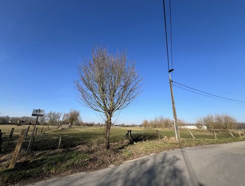                                         Terrain agricole à vendre à Nieuwerkerken, € 75.000
