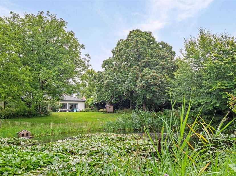 Maison à vendre
                    à 3051 Sint-Joris-Weert
