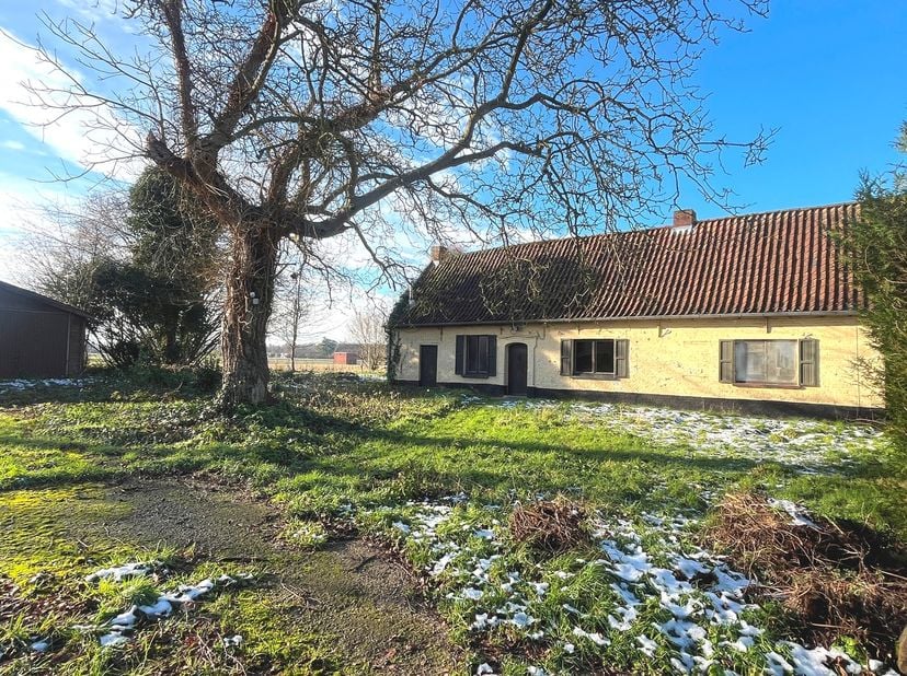 Dit perceel van 1.774 m², gelegen in de groene Tempelstraat in Kruisem, biedt volop rust en privacy, omringd door natuur. De aanliggende landbouwgrond