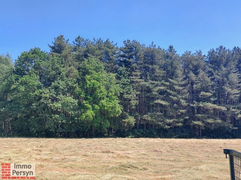 Nabij het grote  natuurgebied &quot;Gerhagen&quot; vinden we deze bosgrond van maar liefst 10.857m². Via een zandweg is er de mogelijkheid om met een auto het b
