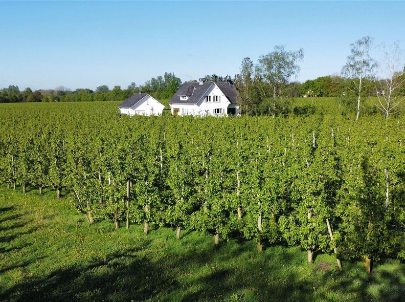 Maison à vendre
                    à 3500 Hasselt