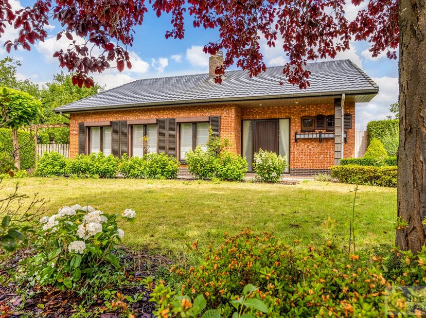 Maison à vendre
                    à 3910 Neerpelt
