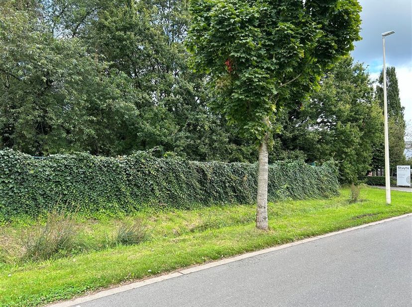 Gunstig gelegen perceel bouwgrond van 987m² geschikt voor een open bebouwing.&lt;br /&gt;
Dit mooie perceel is residentieel gelegen nabij het dorp van Halle