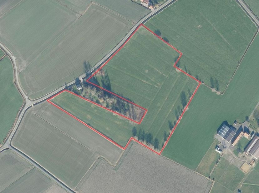 Weide gelegen aan de Heerweg Zuienkerke&lt;br /&gt;
Verpacht, opzegbaar door landbouwer&lt;br /&gt;
Historisch permanent grasland