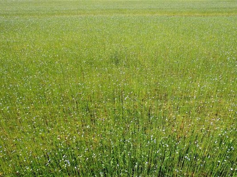 Ensemble d&#039;un seul bloc composé d&#039;une terre et d&#039;une partie en prairie d&#039;une contenance de 8 ha 47 a 23 ca située à chemin.&lt;br /&gt;
Elle est occupé suiv