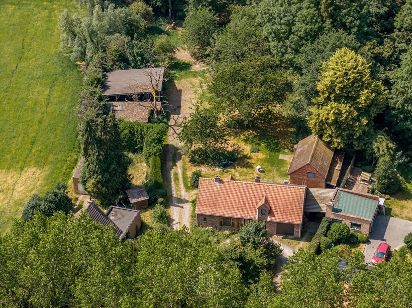Te midden van weilanden en bos vinden we deze charmante hoeve die laatst werd gerenoveerd in de jaren &#039;80. De rustige ligging, het perceel van circa 4