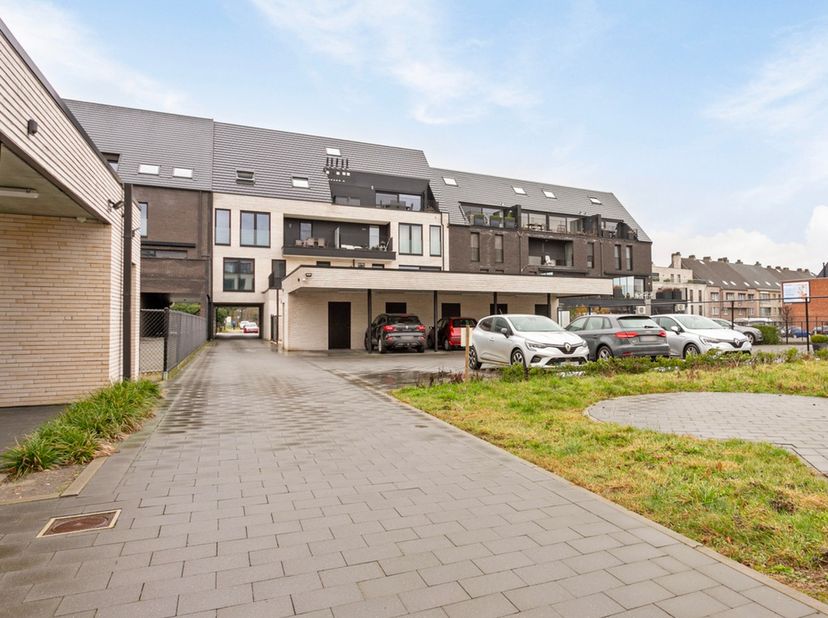 Bien professionnel à vendre
                    à 3980 Tessenderlo